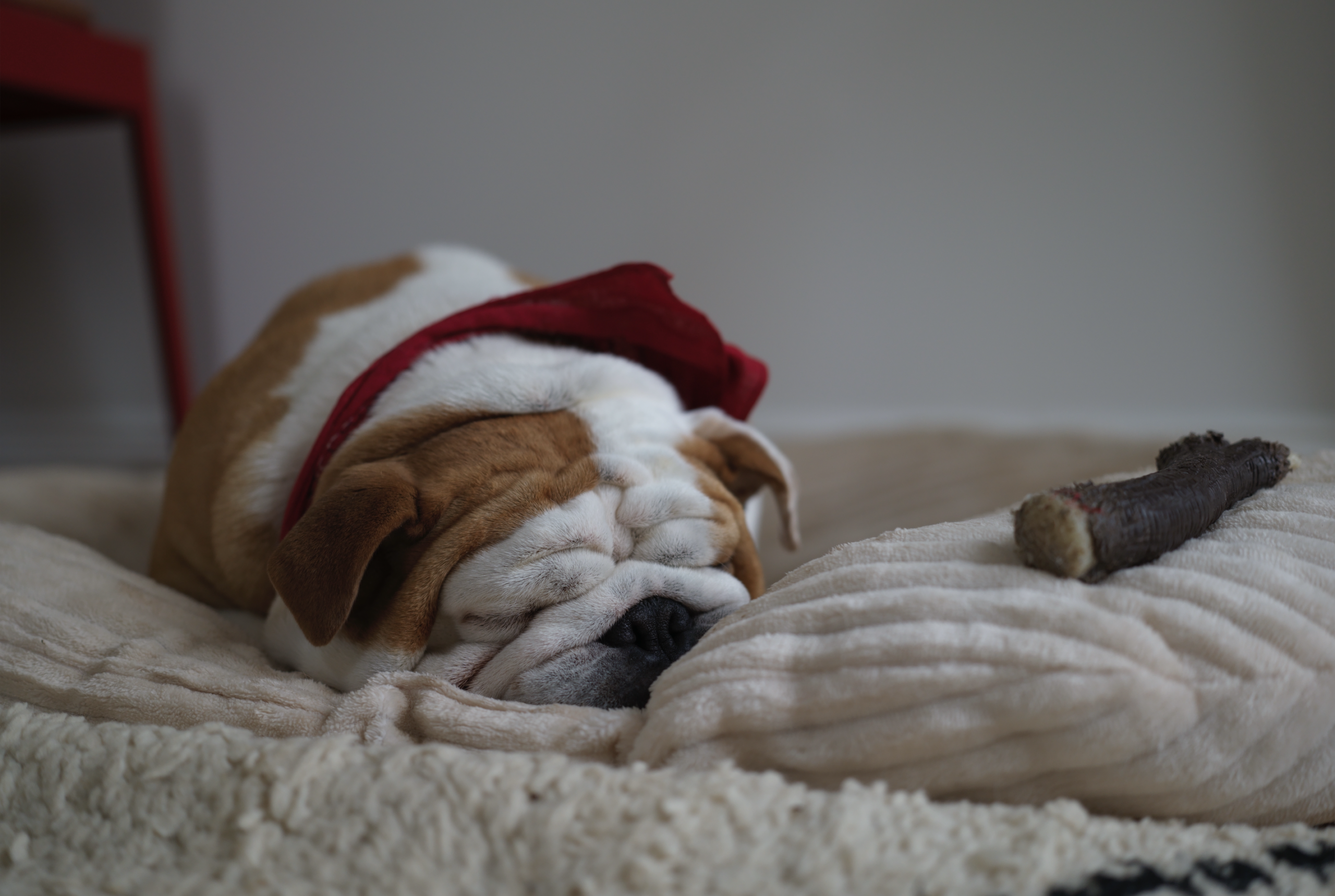 #9 Éloge de l&rsquo;Intelligence Naturelle